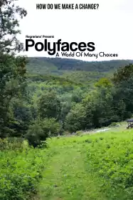 Polyfaces постер