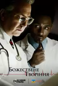 Творіння Господнє постер