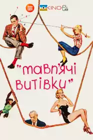 Мавп`ячі витівки постер