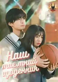 Наш таємний щоденник постер