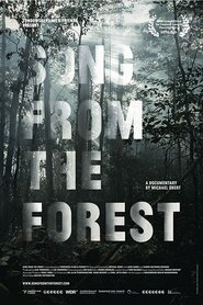 Пісня з лісу (2013)