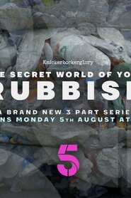The Secret World of Your Rubbish (2019)