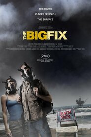 The Big Fix (2012)