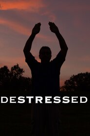 Destressed (2014)