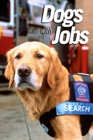Собаки, що мають роботу (2000)