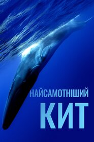 Найсамотніший кит (2016)