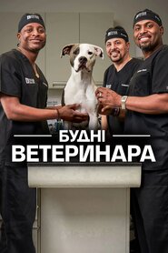 Будні ветеринара (2016)