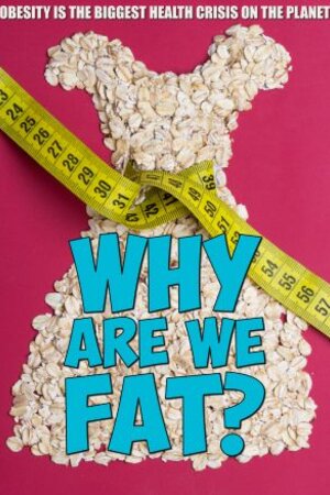 Чому ми жиріємо?