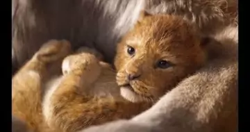 Вийшов трейлер фільму «Король Лев»