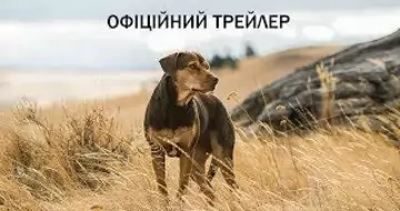Вийшов трейлер фільму «Шлях додому»
