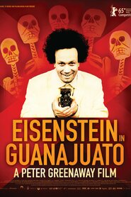 Eisenstein in Guanajuato (2015)