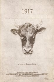 1917 (2017)