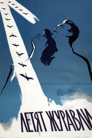 Летять журавлі (1957)