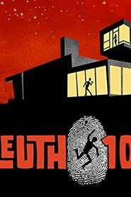 Sleuth 101 (2010)