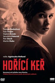 Неопалима купина (2013)
