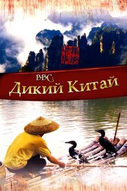 Невідомий Китай (2008)