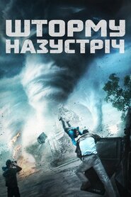 Шторму назустріч (2014)