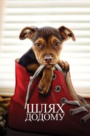 Шлях додому (2019)
