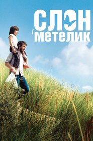 Слон і метелик (2017)