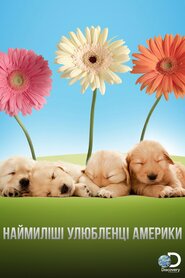 Наймиліші улюбленці Америки (2009)