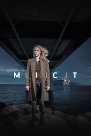 Міст (2011)