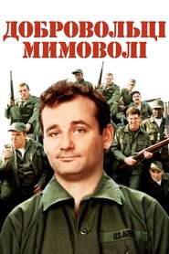 Нашивки (1981)