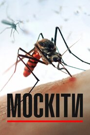 Москіти (2017)