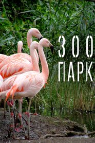 Зоопарк (2017)