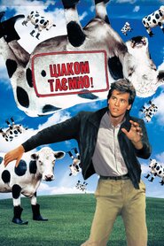Цілком таємно (1984)