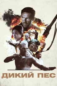 Дикий пес (2017)