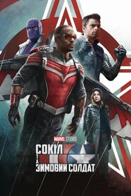 Сокіл та Зимовий солдат (2021)