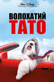 Кудлатий татусь (2006)