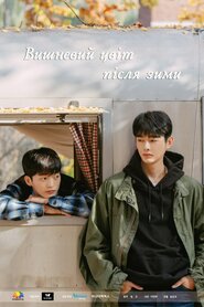 Вишневий цвіт після зими (2022)
