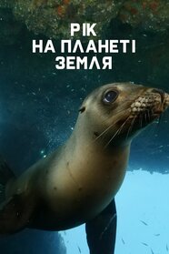 Рік на планеті Земля (2022)