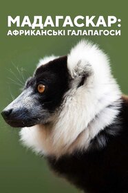 Мадагаскар, африканський Галапагос (2019)