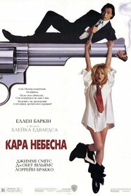 Кара небесна (1991)