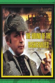 Пригоди Шерлока Холмса й Доктора Ватсона: Собака Баскервілів (1981)