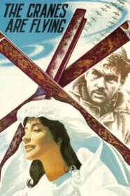 Летять журавлі (1957)