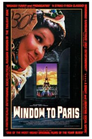 Window to Paris (1993)