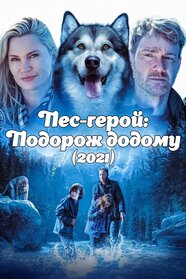 Пес-герой: Подорож додому (2021)