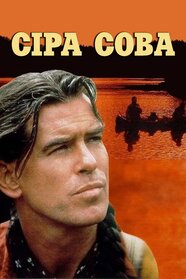 Сіра сова (1999)