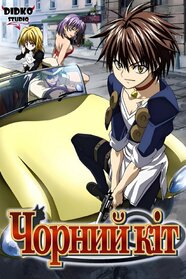 Чорний кіт (2005)