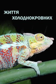 Життя холоднокровних (2008)