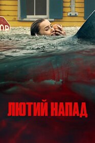 Лютий напад (2026)
