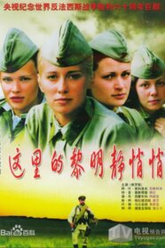 A zori zdes tikhie (2005)