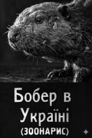 Бобер в Україні (1931)