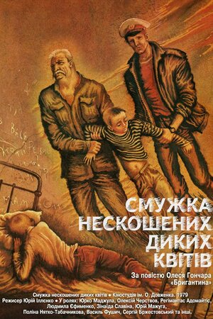 Смужка нескошених диких квітів