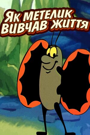 Як метелик вивчав життя