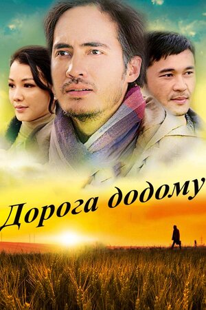 Дорога додому