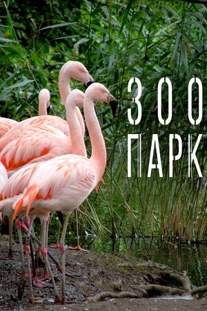 Зоопарк